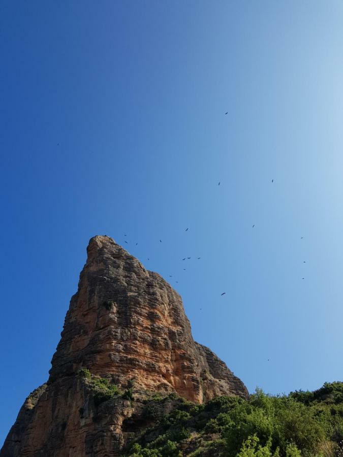 Natura Jordan Мурильо-де-Гальего Экстерьер фото